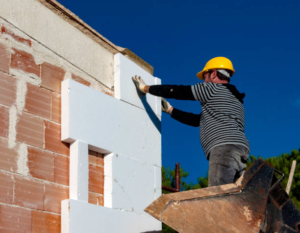 Best Local Insulation Services  in Ankeny, IA