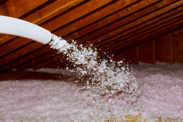 Best Spray Foam Insulation  in Ankeny, IA