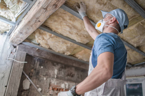 Best Insulation Repair Services  in Ankeny, IA