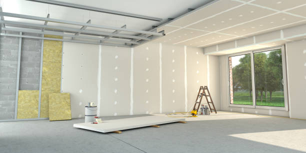 Best Insulation for New Construction  in Ankeny, IA