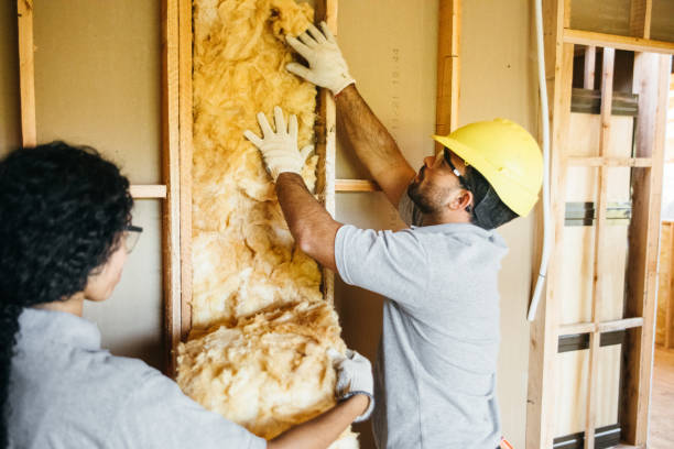 Best Soundproof Insulation Installation  in Ankeny, IA