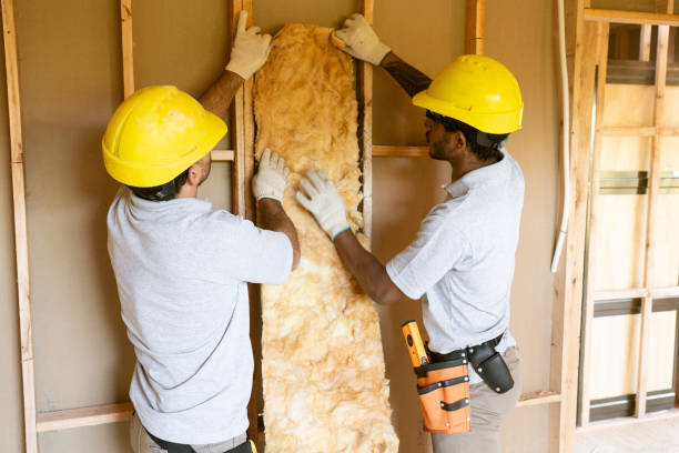 Best Energy-efficient Insulation  in Ankeny, IA
