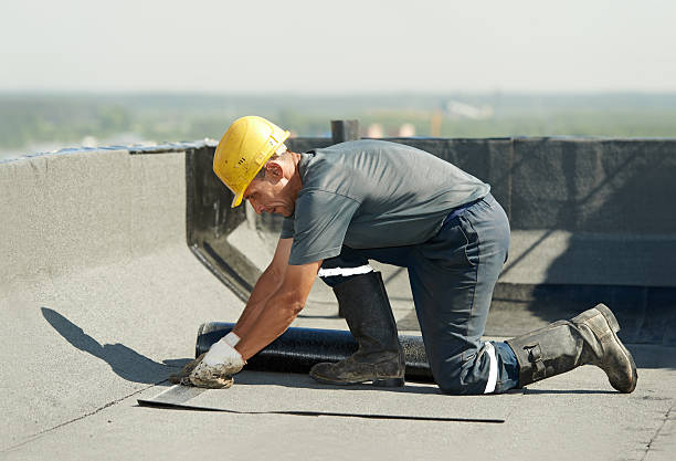 Best Attic Insulation Installation  in Ankeny, IA