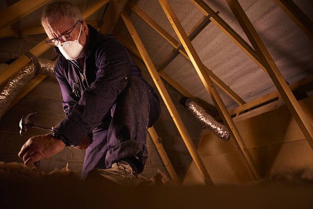 Best Garage Insulation Installation  in Ankeny, IA